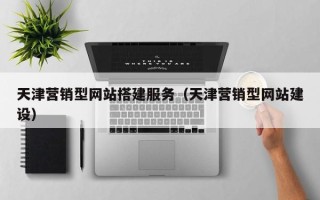 沧县天津营销型网站搭建服务（天津营销型网站建设）