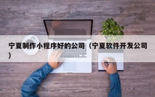 沧县宁夏制作小程序好的公司（宁夏软件开发公司）